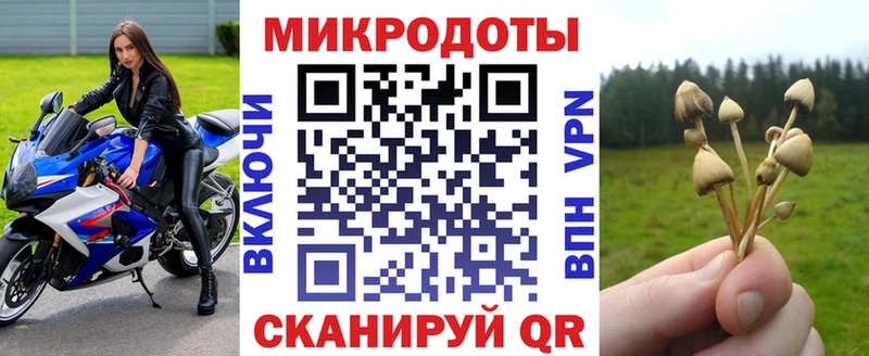 Галлюциногенные грибы прущие грибы  Купить  Екатеринбург 